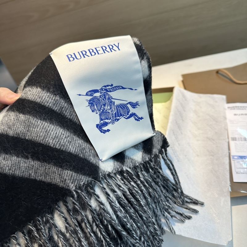 Burberry Scarf